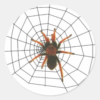 Sticker Rond grande araignée effrayante