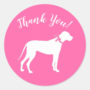 Sticker Rond Grande Dane Chien Baby shower Chien Chiot Rose Gir