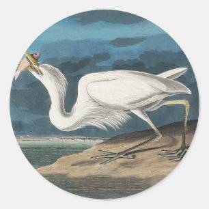 Sticker Rond Grande Peinture de la faune d'Audubon Heron blanc