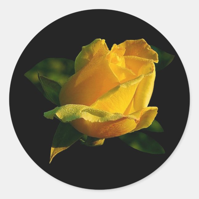 Sticker Rond Grande rose jaune (Devant)
