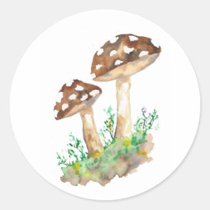 Sticker Rond Grands champignons Brown