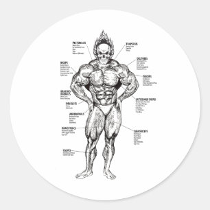 Sticker Rond Graphique des muscles et guide d'exercice - Motiva