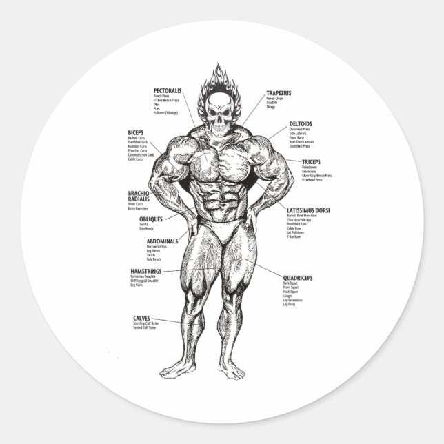 Sticker Rond Graphique des muscles et guide d'exercice - Motiva (Devant)