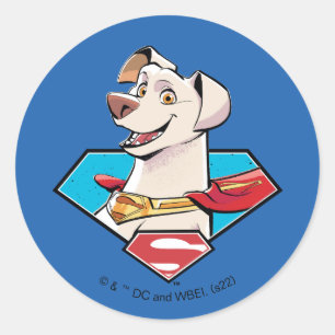 Sticker Rond Graphique Krypto S-Shield
