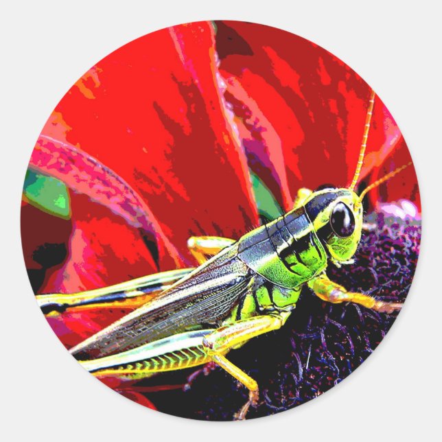 Sticker Rond Grasshopper (Devant)