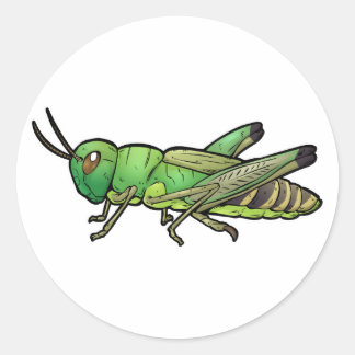 Sticker Rond Grasshopper de prairie