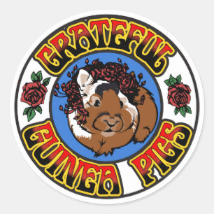 Sticker Rond Gratuit Cochon De Guinée