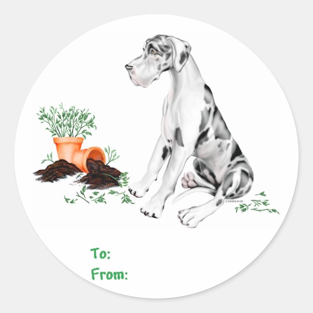 Sticker Rond Great Dane Naughty Pup Arlequin UC (Devant)