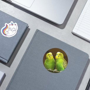 Sticker Rond Green and Yellow Parakeets Photo