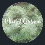 Sticker Rond Green Christmas Tree Pine Fête de Vacances Favoris<br><div class="desc">Green Christmas Tree Pine Fête Fête Favoriser Stickers. Customisez avec ou sans texte.</div>