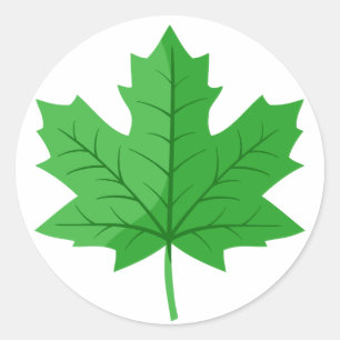 Sticker Rond Green maple leaf