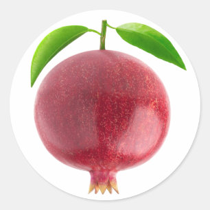 Sticker Rond Grenade