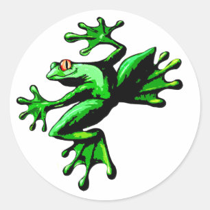 Sticker Rond Grenouille à arbre vert