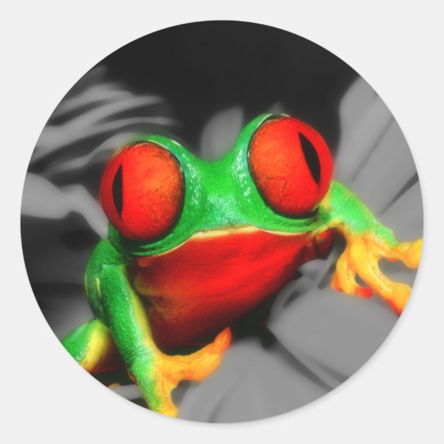 Sticker Rond Grenouille à oeil de porc (Devant)
