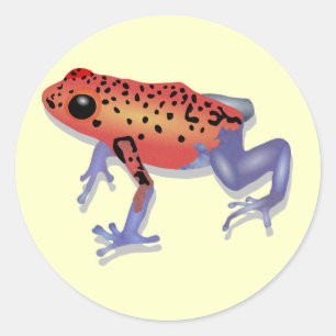 Sticker Rond Grenouille de dard de poison