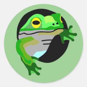 Sticker Rond Grenouille verte