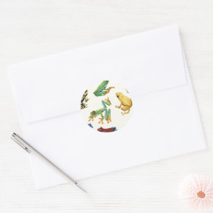 Sticker Rond Grenouilles sur blanc naturel