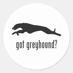 Sticker Rond Greyhound