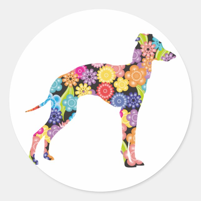 Sticker Rond Greyhound italien (Devant)