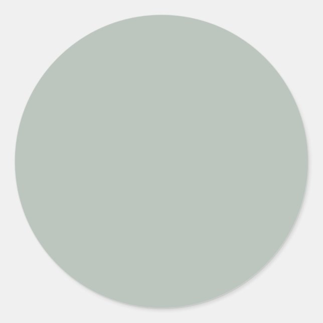 Sticker Rond gris cendré (couleur solide) (Devant)