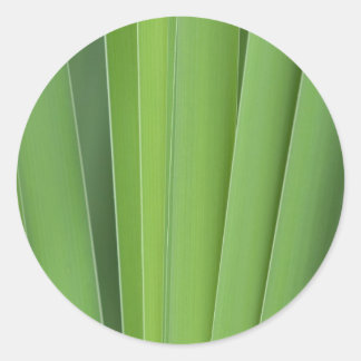 Sticker Rond groomingreen