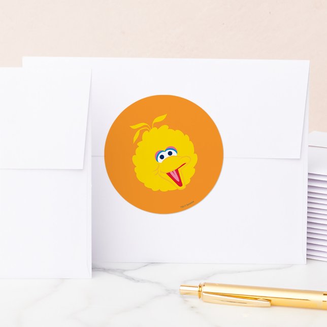 Sticker Rond Gros Bec Visage (Créateur téléchargé)
