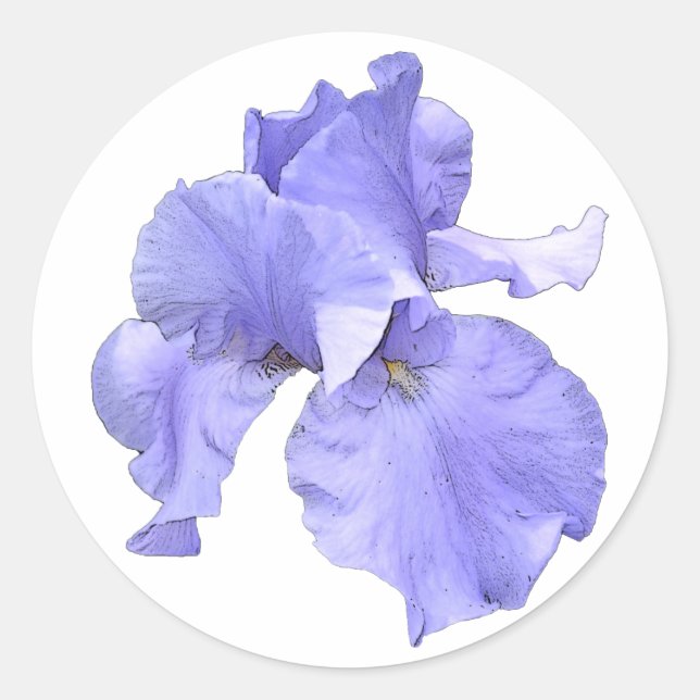 Sticker Rond Gros Iris Violet (Devant)
