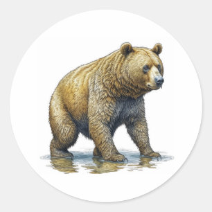 Sticker Rond Gros Ours Brown À Travers L'Eau