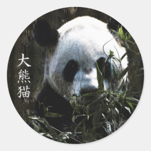 Sticker Rond Gros Panda Mignon avec des feuilles de bambou savo