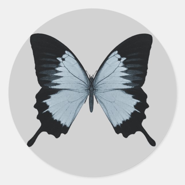 Sticker Rond Gros Papillon bleu et noir (Devant)