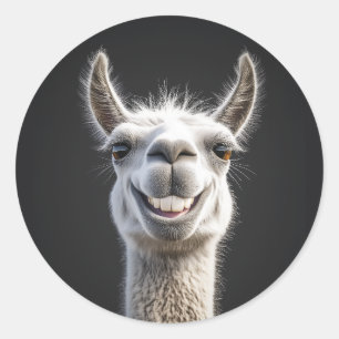 Sticker Rond Gros plan de la lama souriante