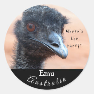 Sticker Rond Gros plan drôle d'un Emu en Australie