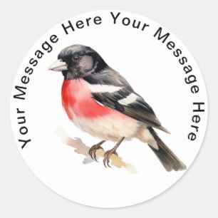 Sticker Rond Grosbeak à poitrine rose