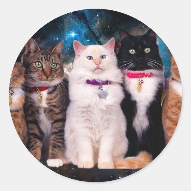Sticker Rond Groupe de chats assis dans l'espace (Devant)