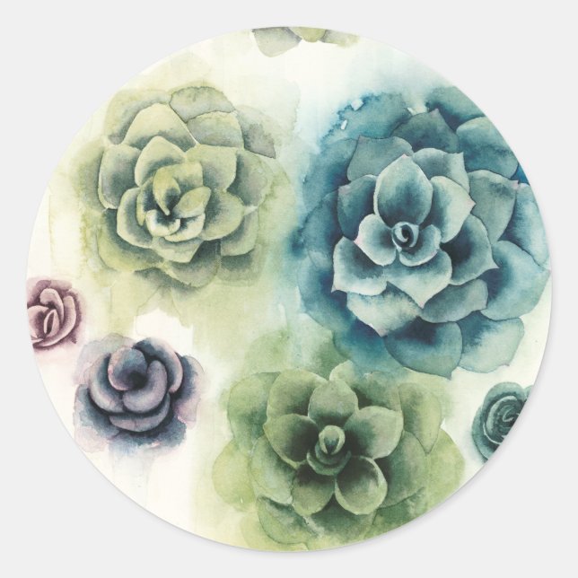 Sticker Rond Groupe de succulents (Devant)