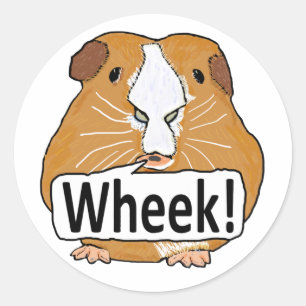 Sticker Rond Guinée Pig Wheek