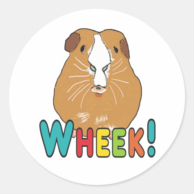 Sticker Rond Guinée Pig Wheek (Devant)