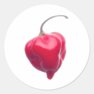 Sticker Rond habanero