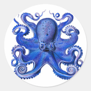 Sticker Rond Haeckel Octopus Blue