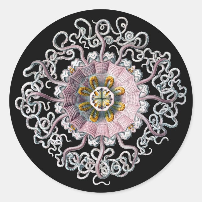 Sticker Rond Haeckel Vintage personnalisable (Devant)