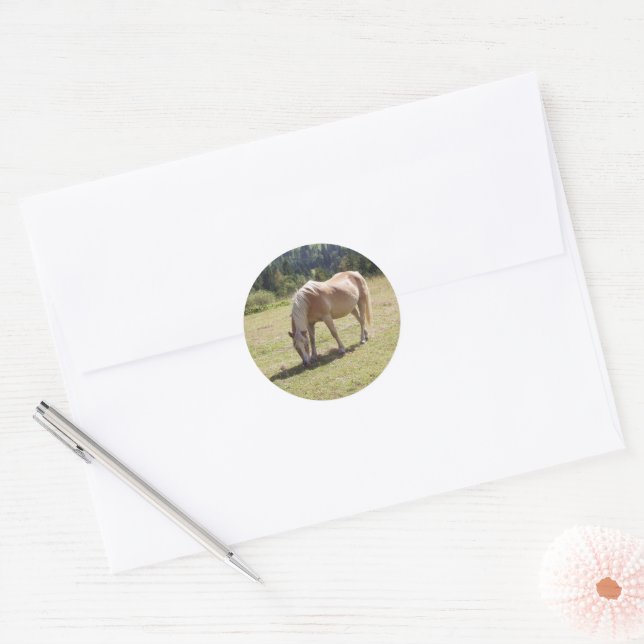 Sticker Rond Haflinger Palomino Pony en été Pony Photo (Enveloppe)