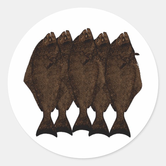 Sticker Rond Halibut Pacifique (Devant)