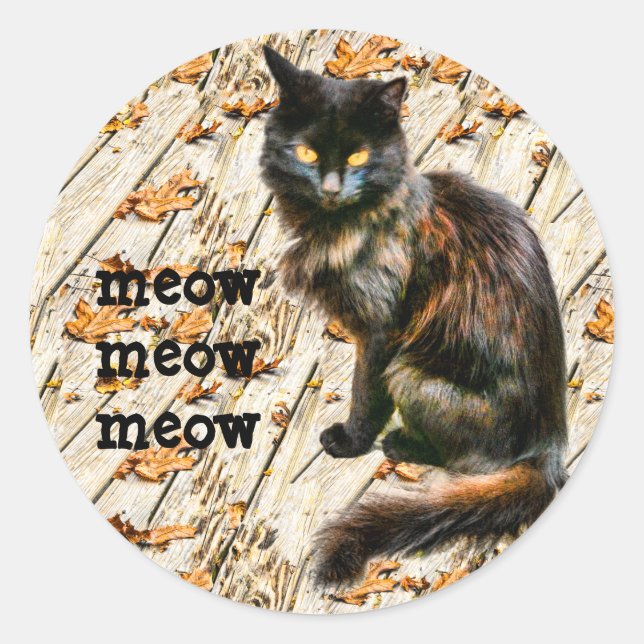 Sticker Rond Halloween Chat noir Animaux de compagnie photo Meo (Devant)