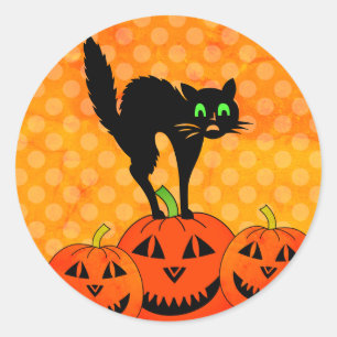 Sticker Rond Halloween Chat noir Citrouille Jack O' Lantern