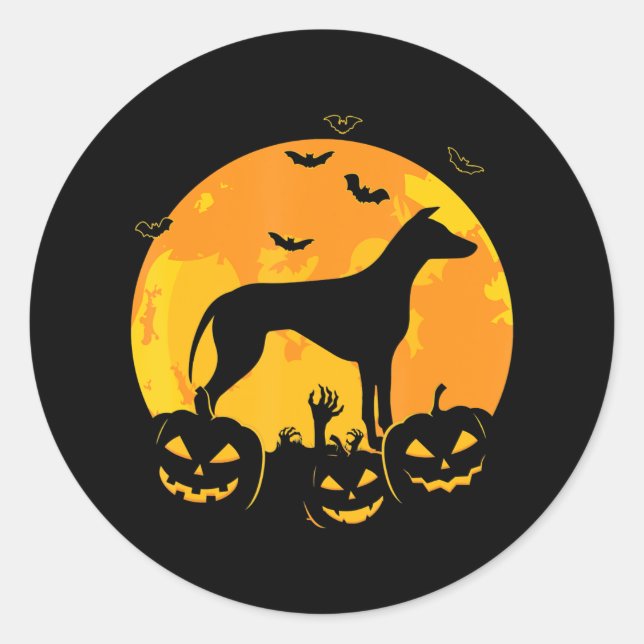 Sticker Rond Halloween Greyhound Jack | Citrouille de marionnet (Devant)