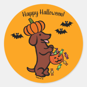 Sticker Rond Halloween Red Smooth Haired Dachshund