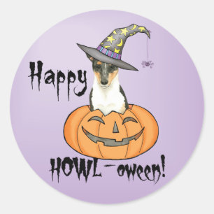 Sticker Rond Halloween Smooth Collie