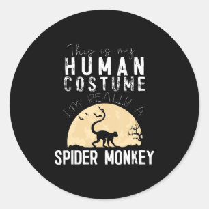 Sticker Rond Halloween Spider Monkey Horreur Déplaisante