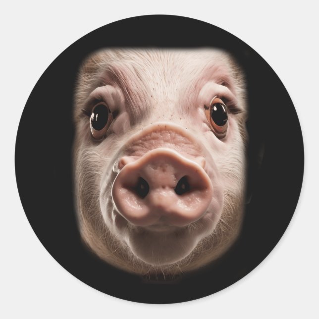 Sticker Rond Halloween Surpris Cochon Face Mème Big Troll Hog P (Devant)