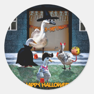 Sticker Rond Halloween Trick ou Traite Time!